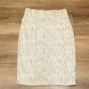 Lularoe pencil skirt (cassie)